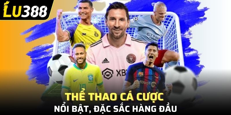Thể thao cá cược nổi bật, đặc sắc hàng đầu
